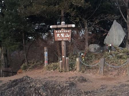 天覧山(195m)に到着