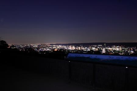 展望地からの飯能市の夜景