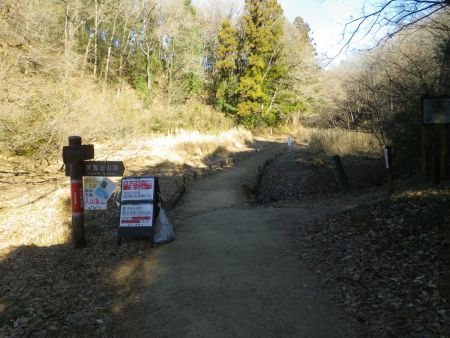 天覧山への分岐。多峯主山はここを直進する