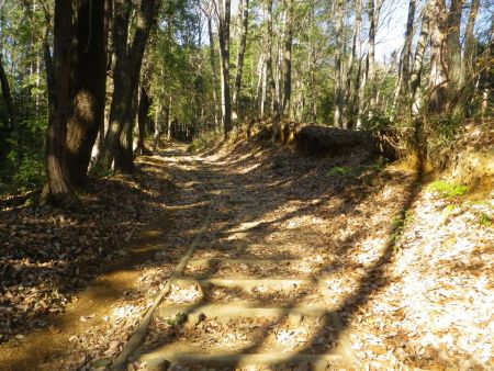 この風景はヤマノススメにあったと思うので撮影しておいた