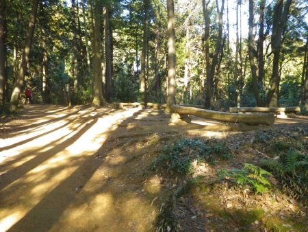 ここに休憩所があるのは、この後に急登があるからなのかな！？