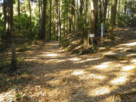 ここで道標に従って多峯主山山頂のほうへいくので右へ