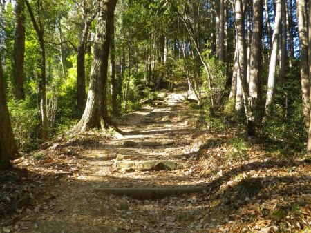 ここから山頂までの石の階段が少しキツイかも。距離的には短いけどペースダウンして登っていく