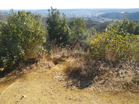 さて、山頂は人が多いのでさっさと下山することにした