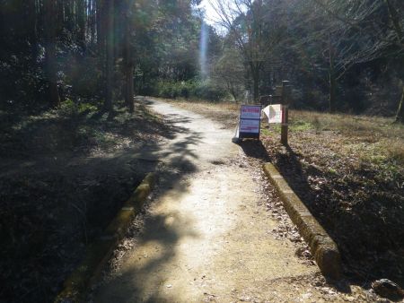 天覧山分岐のところまできた。ここで後ろのパーティーは天覧山のほうへ登っていった