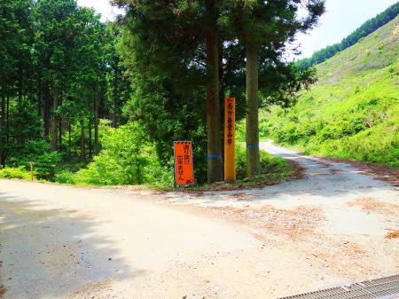 林道の分岐。車から降りてさっと撮影しておいた。ここを左へあがって行くと駐車場がある