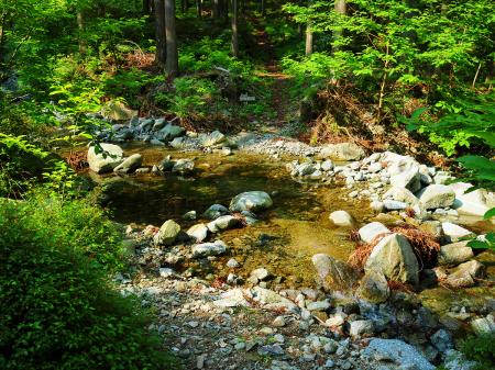この沢を渡るけど、ドボンッしないように注意して渡らないといけない