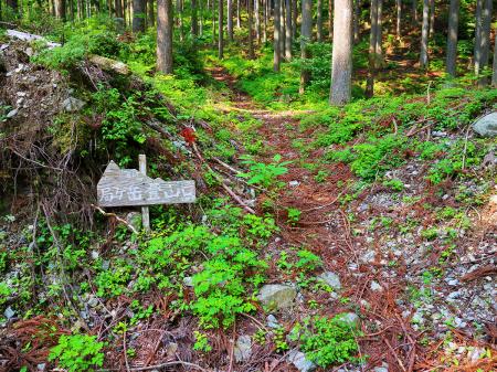 ここが局ヶ岳登山口の始まりかな！？ここからいよいよ入山