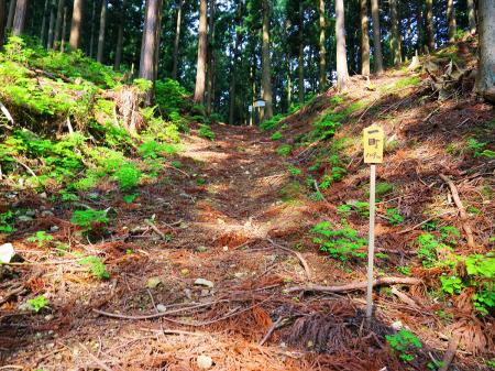 入山してすぐ一町（距離：109m目）があった