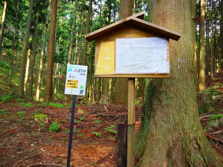 ここで分岐。今回健脚コースは調べてなかったのとキツそうなので左の本コースで行くことにする