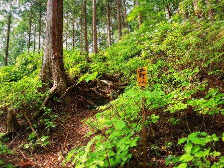 二町（距離：218m目）。登りは別にキツくない