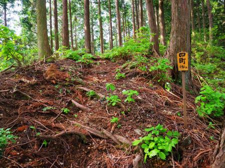 四町（距離：436m目）。景色が全く変わらない