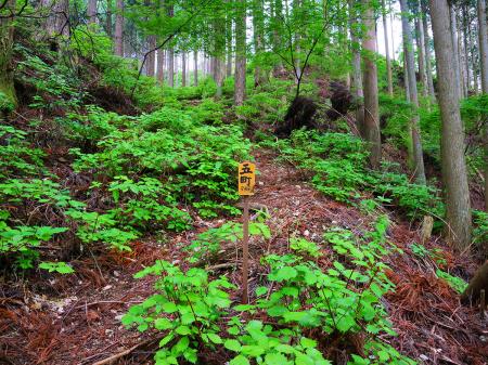 五町（距離：545m目）。ここまで早かった