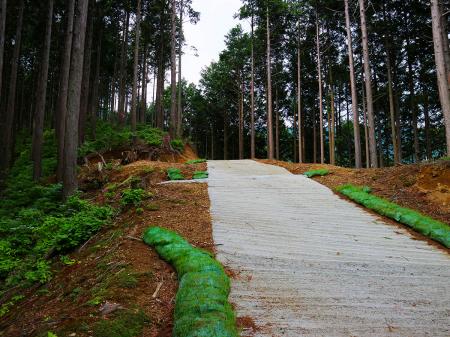 ここで一旦舗装道に出るけど少しあがったところ左側が正規の登山道になる