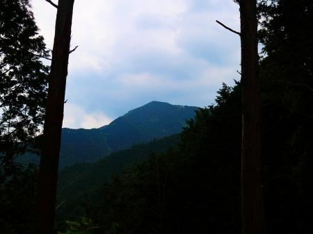 木の隙間からピークが見えるけどあれが局ヶ岳の山頂かな！？見た感じ遠いんだけどね