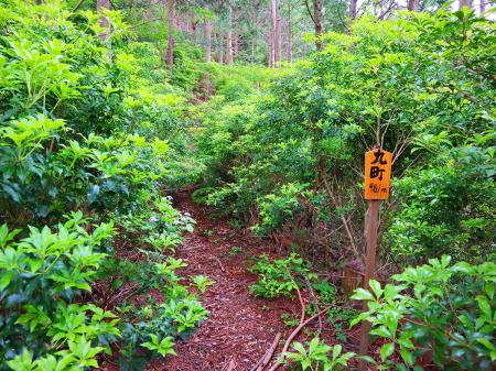 九町（距離：981m目）。十八町の半分まできた