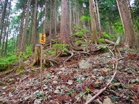 十三町（距離：1417m目）。ここで少し急登っぽいけど、つづら折れになっていたのでそこまでしんどくなかった