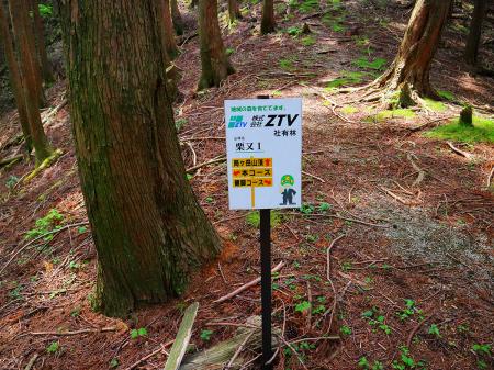 ここで尾根と合流する。健脚コースとの合流地点っぽい