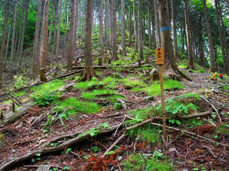 十五町（距離：1635m目）。ここからいよいよ局ヶ岳への登りになる
