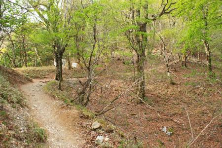 リフト西島駅まではトラバースなので早歩きが楽だった
