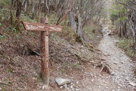 標高1600m地点。ここまで22分と早いかも（笑