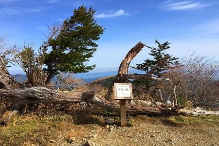 刀掛の松。登り時は早歩きで気付かなかった。ここからも別の山にいけるルートがあるとか！？