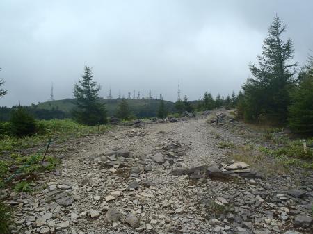 あの電波塔のところへ向う