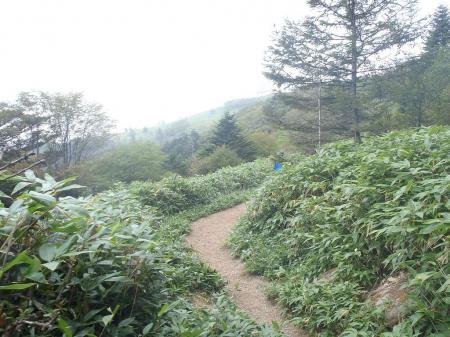 なだらかだけど、登りもある