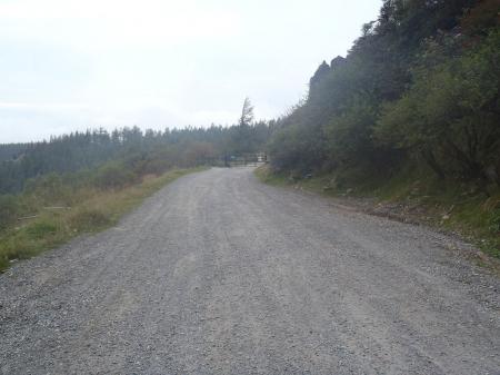 王ヶ鼻より自然保護センターへは舗装道を1kmほど歩く