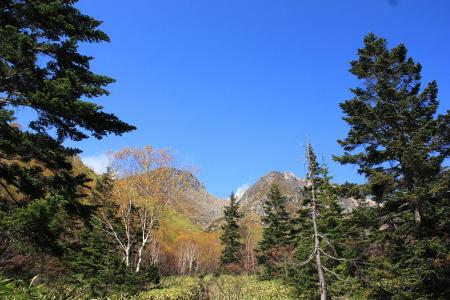 標高2000mを越えたあたりでいきなり開けてくる