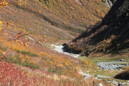 紅葉。あの沢のもっと向こう側がババ平