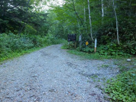 長い林道はまだ終わらない。白出沢までかなり時間がかかった