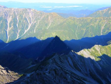 影槍が見えたので撮影