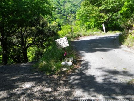 ここで分岐。三方山は左側の道を下りていく。三方山まで約60分かかると書いてるけど、もう少しかかるんじゃないかな！？