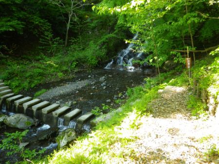 この沢を渡ると登山道に入る。増水していたら、この沢を渡るのは禁止になるみたい