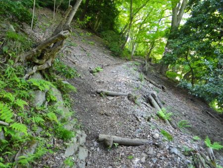 写真ではわからないけど、つづら折れになった登山道が続く。このジグザグの登山道でバテたりヘトヘトになったって人がいる