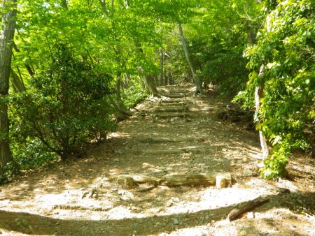 ここからは尾根道で階段が続くんだけど、そんな急登でもないのでここもペース配分を間違えずにゆっくり登っていく