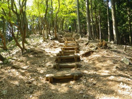 この階段は見上げると嫌な感じだけどあくまでゆっくり登れば大丈夫。前を歩いてる人は息を切らしながら登っていた