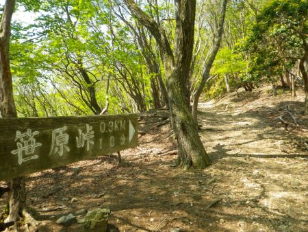 さて、続いて笹原峠を目指すけど0.3kmで10分くらいらしい