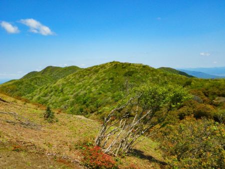 北側にも山があるけど左奥のピークあたりが養老山地最高峰の笙ヶ岳になるのかな！？いや、ここからは見えないのかもしれない