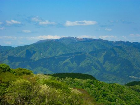 霊仙山をズームで撮影してみた。白くなってるのは残雪だと思われる。こんなに気温が高いのにかなり雪解けは遅いみたいだね