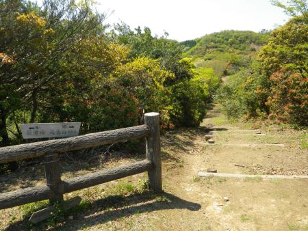さて、さっさと養老山の山頂をピークハントすることにした。小倉山から15分ほどかかるみたいだけどアップダウンがあるんだよね