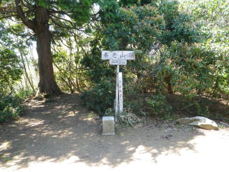 養老山山頂(859m)に到着。樹林帯の中に山頂があって、看板と三角点が設置された狭い場所だった