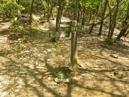 三方山の直下まで下ってきた。整備された登山道なので下山のスピードは早い
