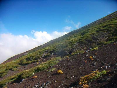 富士山といえど結構な斜面を登る。青空が素晴らしいので天候はこのままであってほしいと願う
