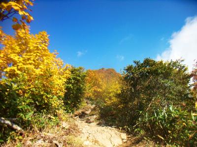 まだ10月初めだけどすっかり葉は色づいている
