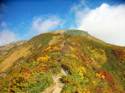 標高2000mにも満たない山だけど、高山にきたみたいなこの稜線歩きはなかなかグッド