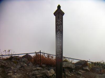 そんなこんなでガスの中だけど、トマノ耳(1963m)に到着