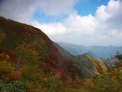 最後にとりあえず色づいてるところを撮影してみた