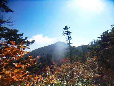 あのピークが山頂かな！？しかし、もうこの辺りの樹林は色づいている